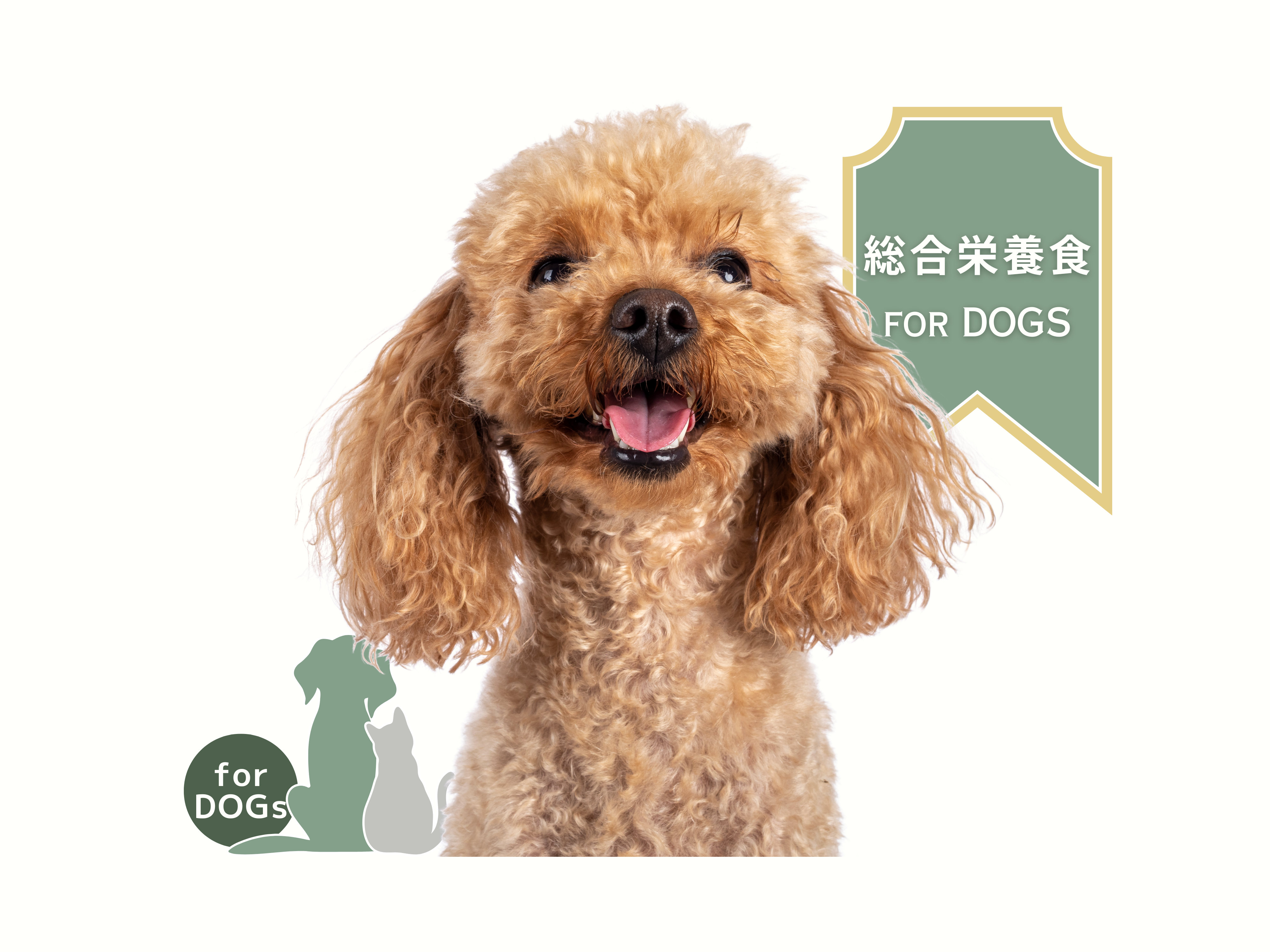 総合栄養食 for DOGS – Paw's Green Deli