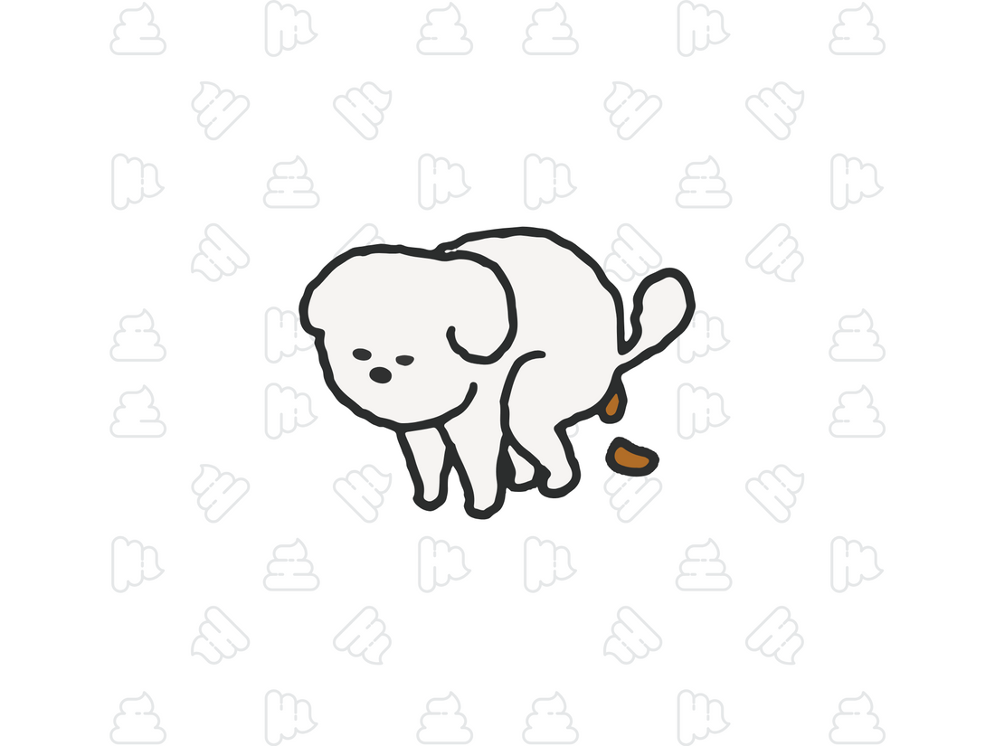 愛犬がうんちを食べちゃう！？ 食糞の原因と対策をわかりやすく解説！