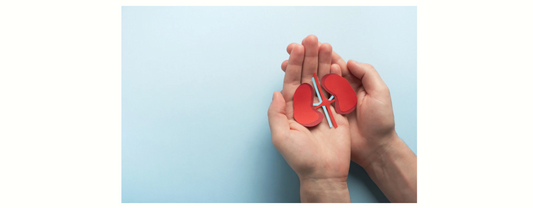 猫や犬の腎臓病を気にする写真