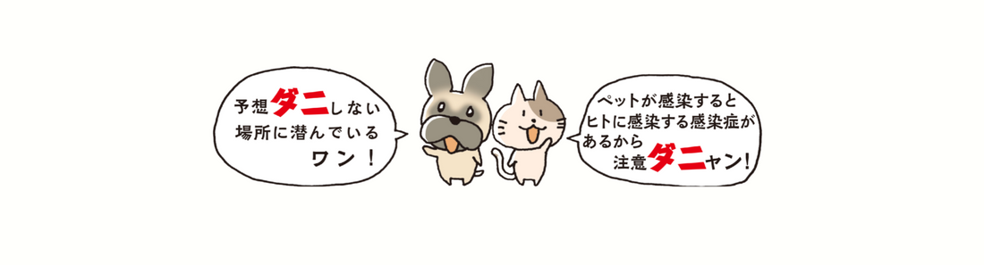 【要注意】都内でも感染確認。犬猫のSFTS（マダニ感染症）から家族を守るための全知識