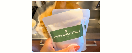 猫の好き嫌いを減らす方法｜食べられるものを少しずつ増やした実例とコツ