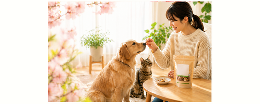 おやつの量と与え方ガイド｜犬猫の適切なタイミング・選び方
