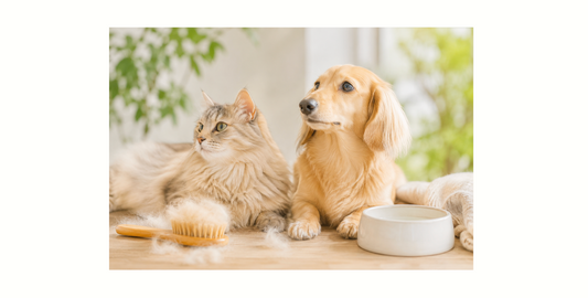 春の換毛期に見直したい！猫ちゃん・わんちゃんの食事と栄養ケア