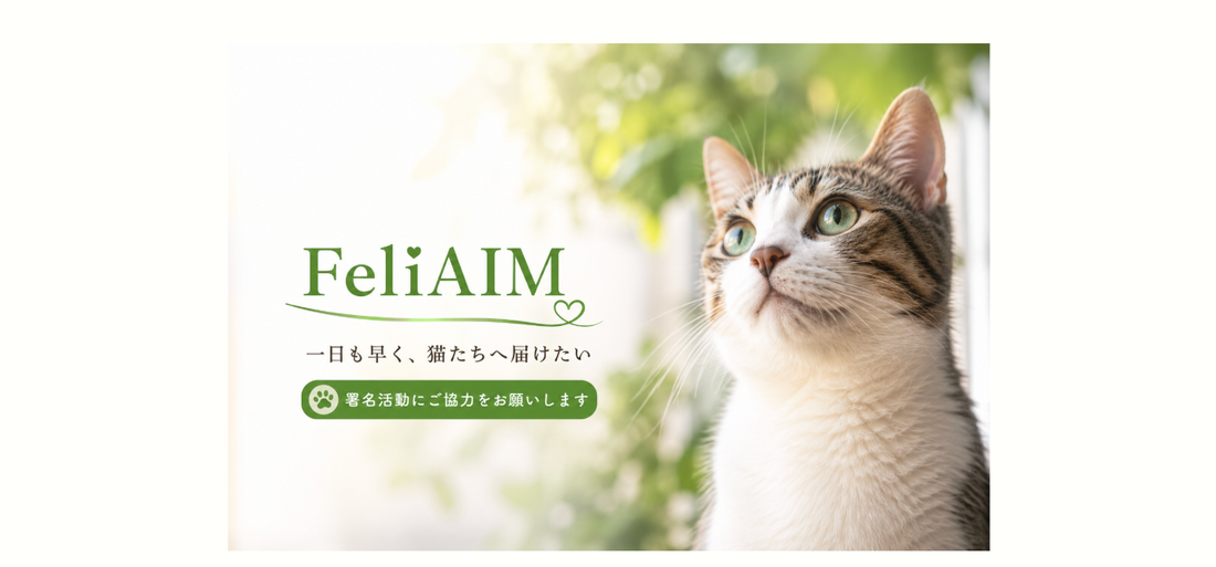 猫の慢性腎臓病（CKD）に新しい希望｜FeliAIM承認申請とPaw's Green Deliの取り組み