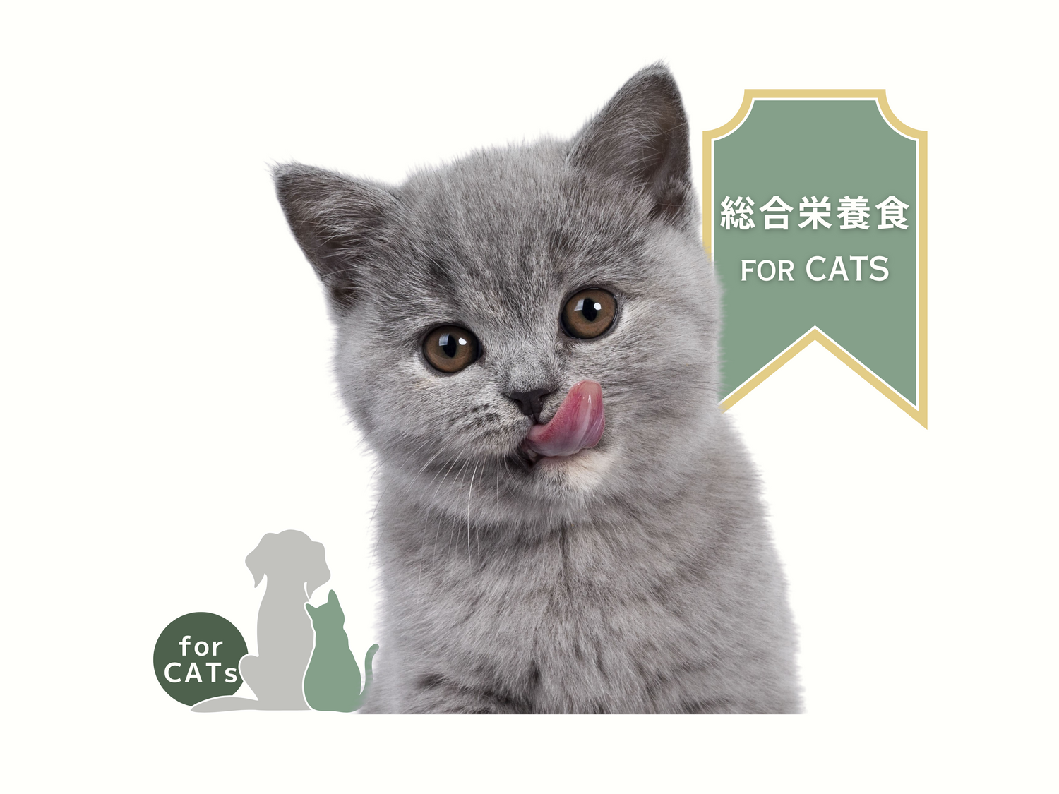 総合栄養食 for CATS