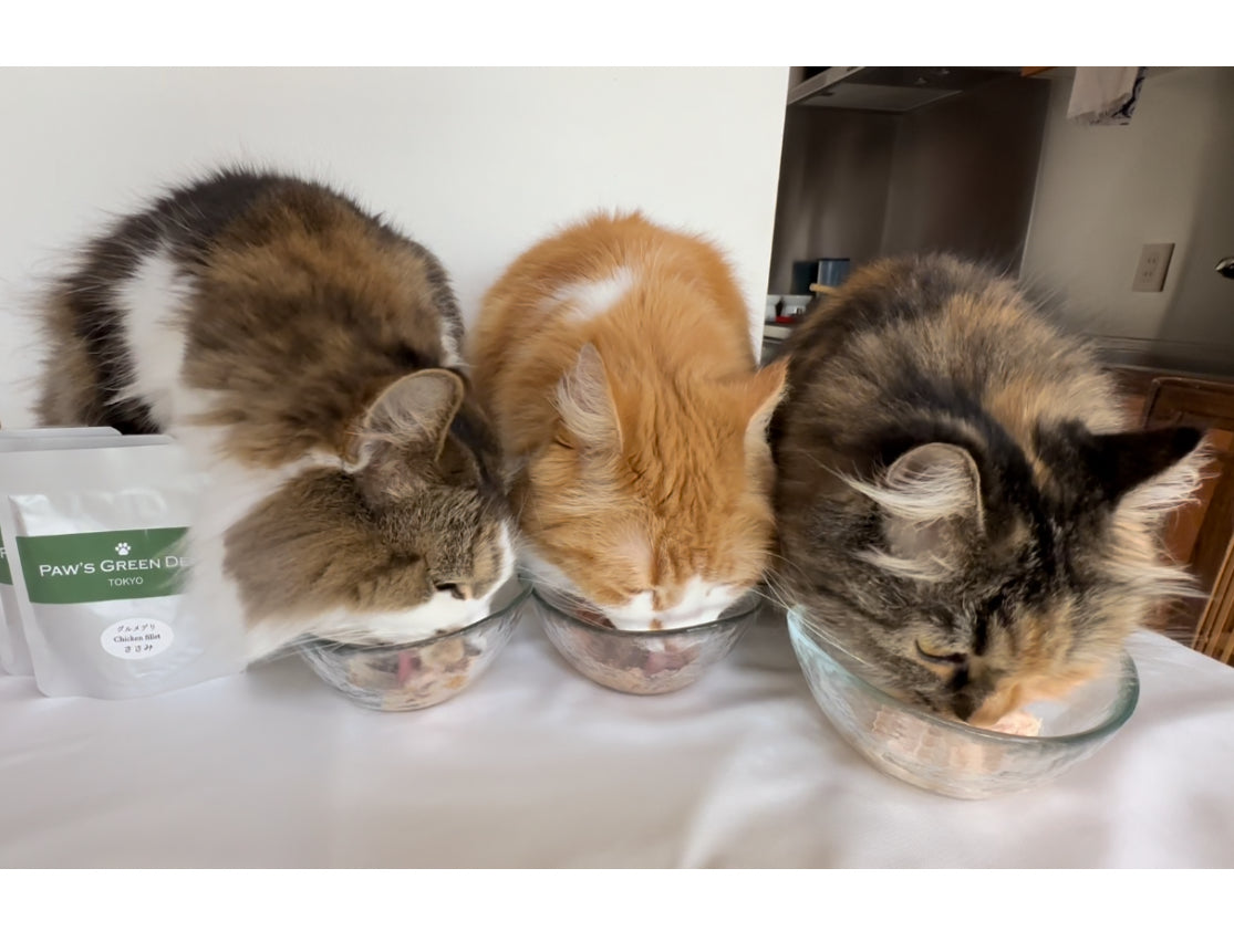 Paw's Green Deli（パウズグリーンデリ）の国産・無添加で安心安全なキャットフードをおいしそうに食べている猫たちの写真
